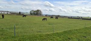 Greystones nawab sleep 6 C buxton in peak park