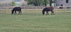 Greystones nawab sleep 6 C buxton in peak park