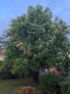 Maisons de vacances Vacances face au Luberon : photos des chambres