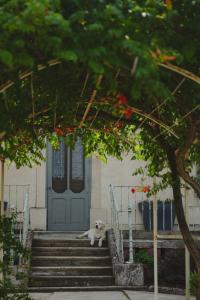 Maisons de vacances Vacances face au Luberon : photos des chambres