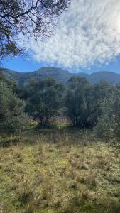 Maisons de vacances Vacances face au Luberon : photos des chambres