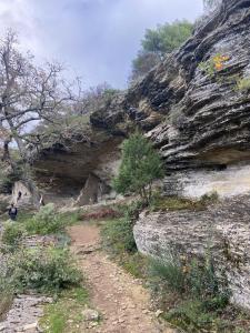 Maisons de vacances Vacances face au Luberon : photos des chambres