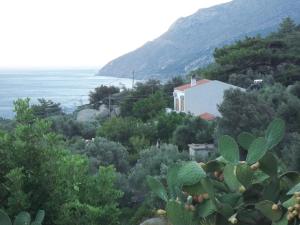 Zacharoula Rooms Ikaria Greece