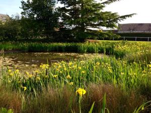 Sejours a la campagne Residences Le Clos du Manoir - Self Cooking : photos des chambres