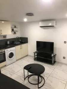 Cozy and well located apartment - 弗朗斯地区特朗布莱