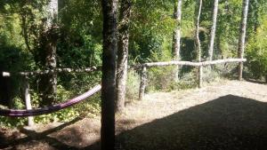 Cabaña en la naturaleza Futrono