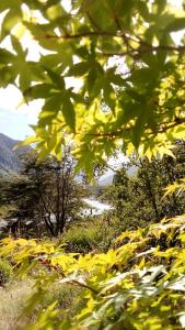 Cabaña en la naturaleza Futrono