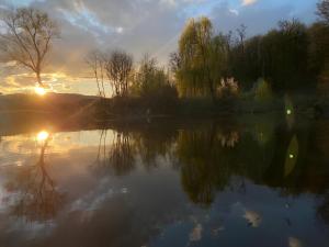 The Weeping Willow Retreat - Luca