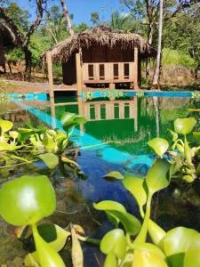 Adama Eco Farm - Ponuga