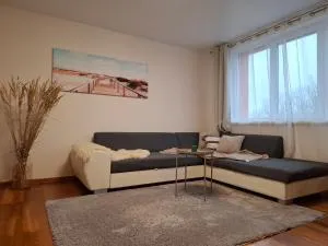 Viskoosa korter - Hiiumaa