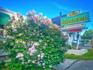 Claddagh Motel & Suites - Camden