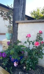 B&B / Chambres d'hotes INSTANT ZEN : photos des chambres