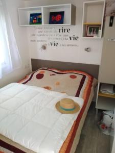 Mobil home 6 à 8pers FUN PASS NON INCLUS