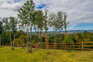 Chilote Monteaguilino