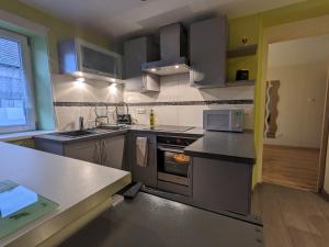 Appartements La Petite Forge : Appartement 1 Chambre