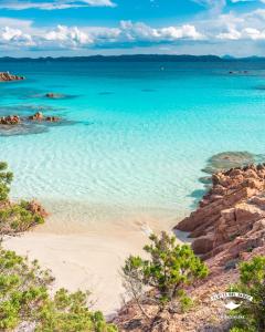 Monolocale La Maddalena img6