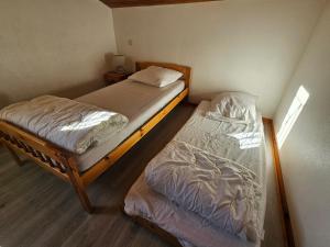 Maison abelias soustons plage