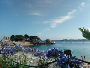 Maisons de vacances Ty bihan : photos des chambres