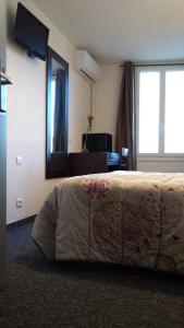 Hotels Mauguio Center Hotel : Chambre Simple Standard