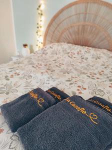 La Casaflo cocon climatisé au coeur de lOccitanie