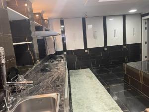 Fancy Duplex for rent beside palm hills