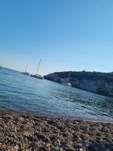 Apartman-Studio Matanović- Save Kovačevića