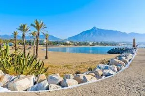 New & Beautiful Loft in Puerto Banus - Nueva Andalucia