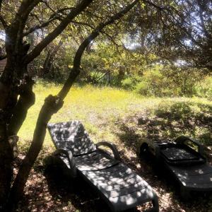 Maisons de vacances La maison du bon remede : photos des chambres