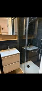 Appartements Studio lumineux avec vue et acces sur les pistes ! Coup de coeur : photos des chambres
