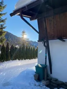 Hoamat Apartments - 锡尔茨