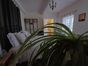 Appartement vue panoramique