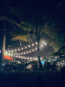 Greenwoods Munnar Unmarried Allowed