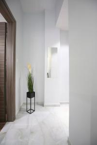 Ioanna Apartments Luxury Studio 2