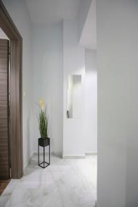 Ioanna Apartments Luxury Studio 2