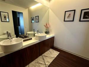 Luxurious and exotic apartment in Reforma 222