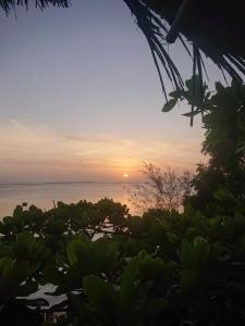 Menai Bay Beach Bungalows