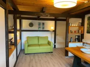 Schwarzwaldträumchen, Südbalkon, Hallenbad, TG - Klosterreichenbach