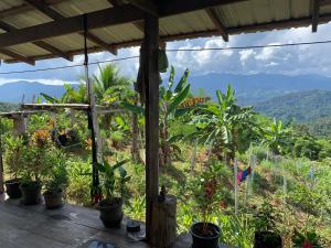 Salawin Fruit Jungle Farmstay