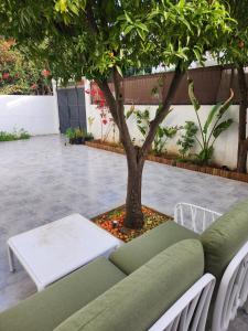 Spacious Apartment Modern