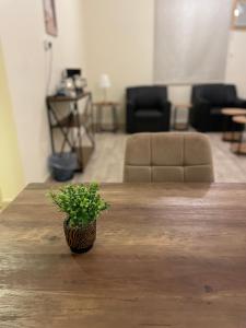 شقة بغرفة نوم واحده