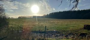 Hyggeligt lille sommerhus