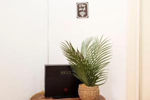 The Attico - Chick Urban - Free Parking