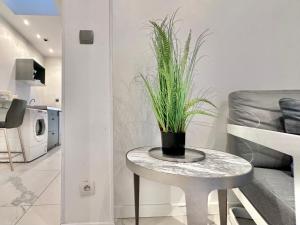 Appartements APPARTEMENT 2 chambres avec Jardinet, proche GARES : photos des chambres