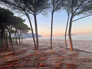 La casa di Antovan img7