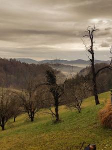 Holidayapartement Sentjur 2 pers