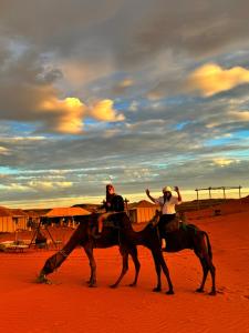 Original Desert Camp