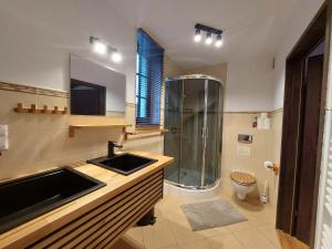Double Room room in Werchowyna