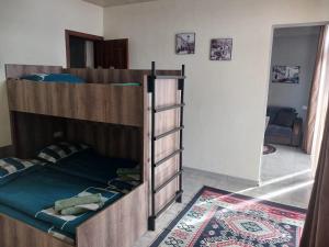 Mountain Dream House