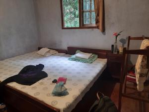 Esmins Homestay - womens only