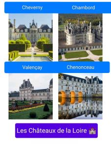 Maisons de vacances Maison avec jardin clos, proche du zoo de Beauval et des Chateaux de la Loire : photos des chambres